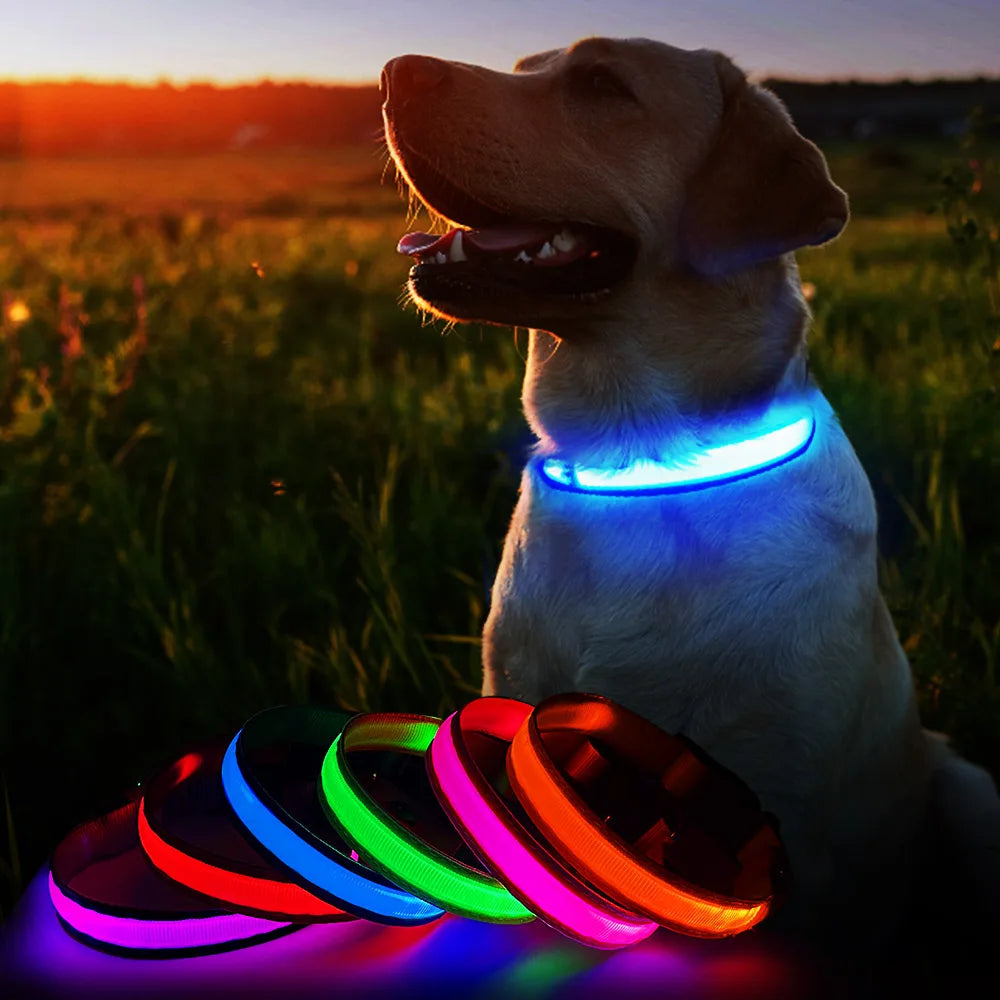 MASBRILLCN LED Dog Collar Waterproof Glow Necklace