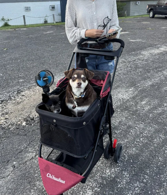 CHIHUAHUA Portable Foldable Pet Stroller for Small Dogs and Cats