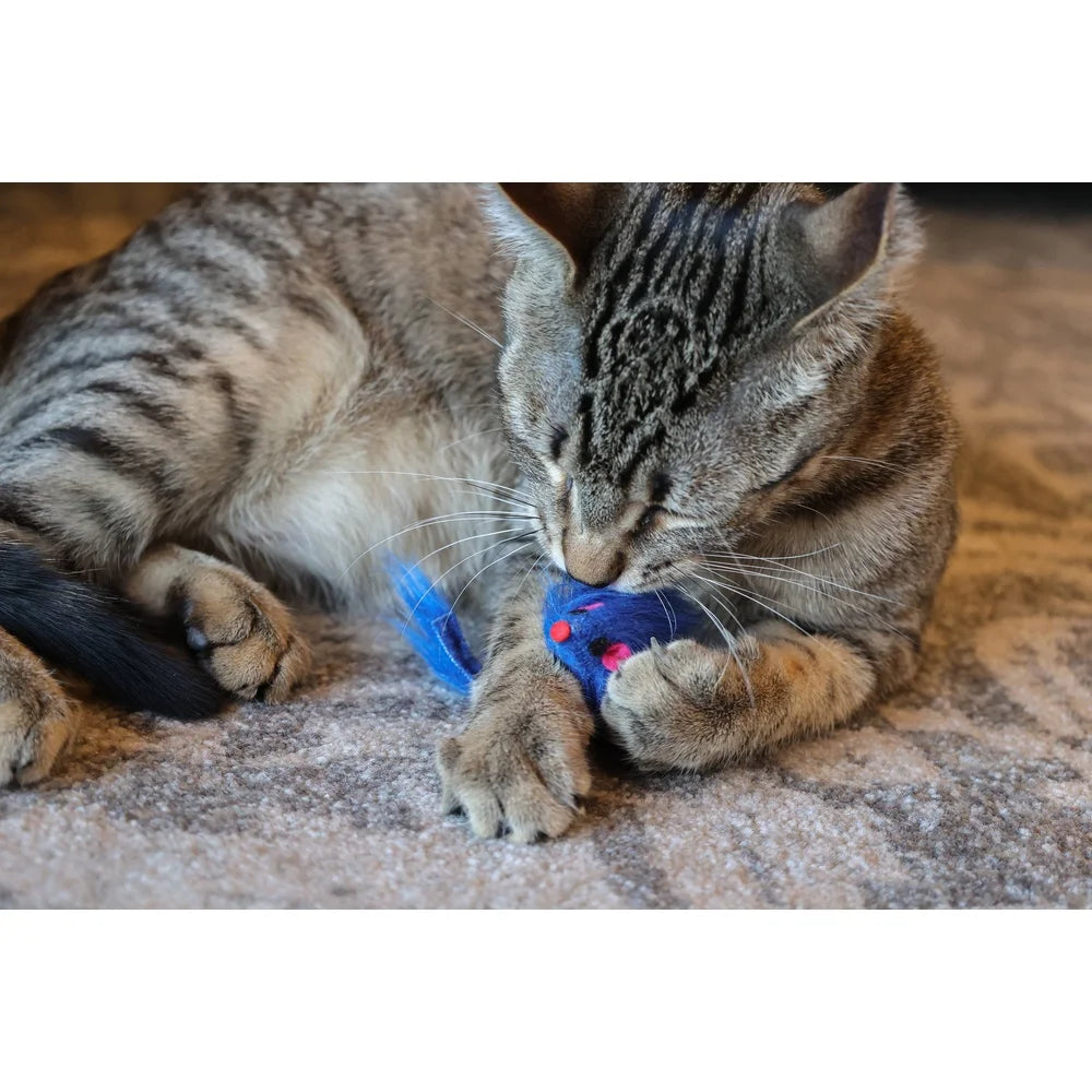 XMSJ 24 Piece Cat Toy Set Interactive Indoor Fun Toys