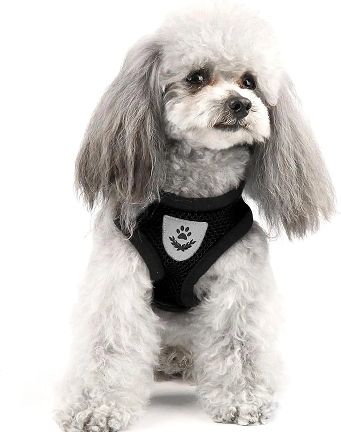 Cat And Dog Harness Vest Leash For Small Medium Pets Polyester Adjustable Mesh