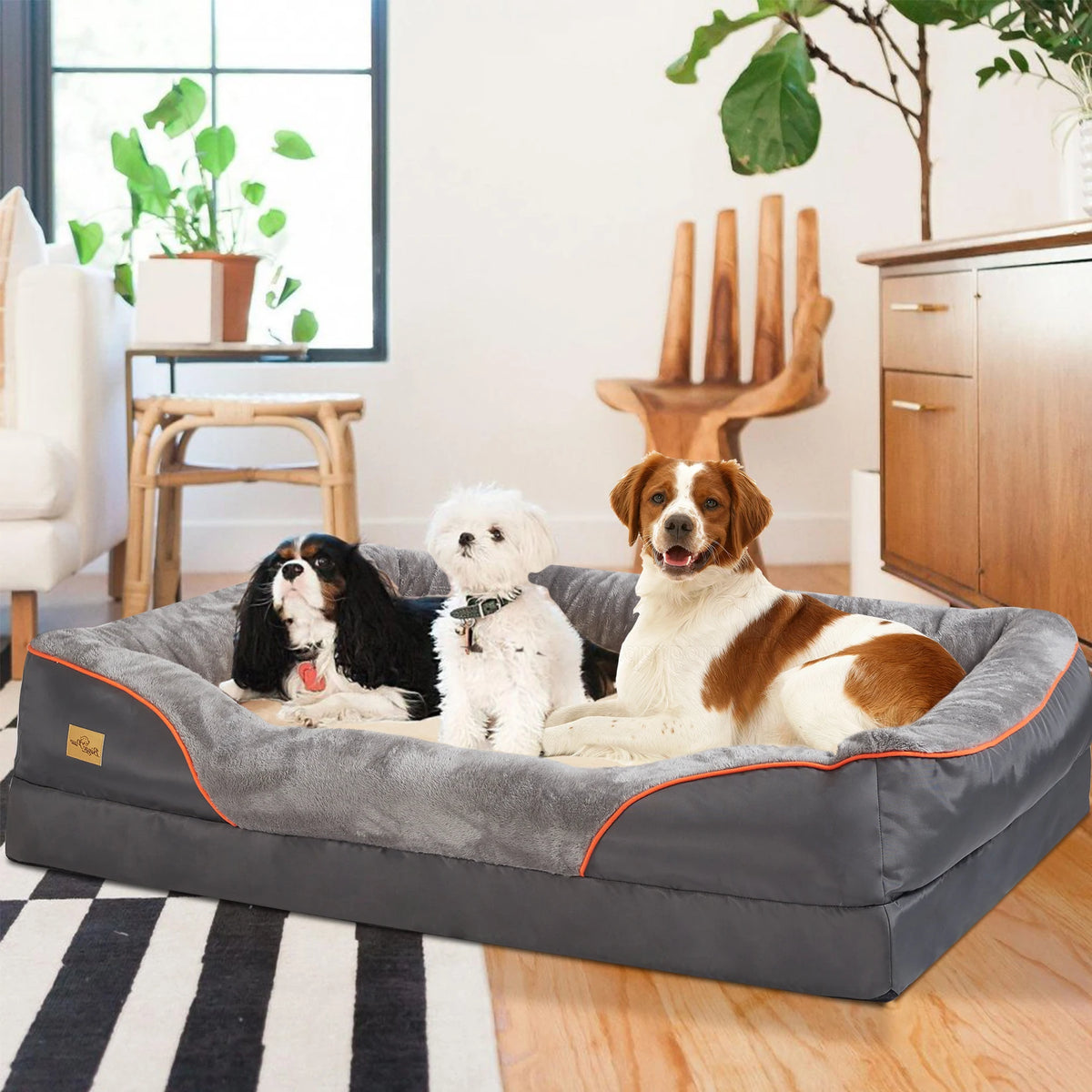 BINGOPAW Orthopedic Dog Bed Foam Bolster Removable Washable Cover