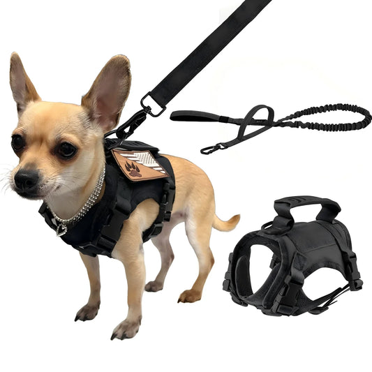 PETRAVEL Tactical Puppy Harness And Leash Set For Training