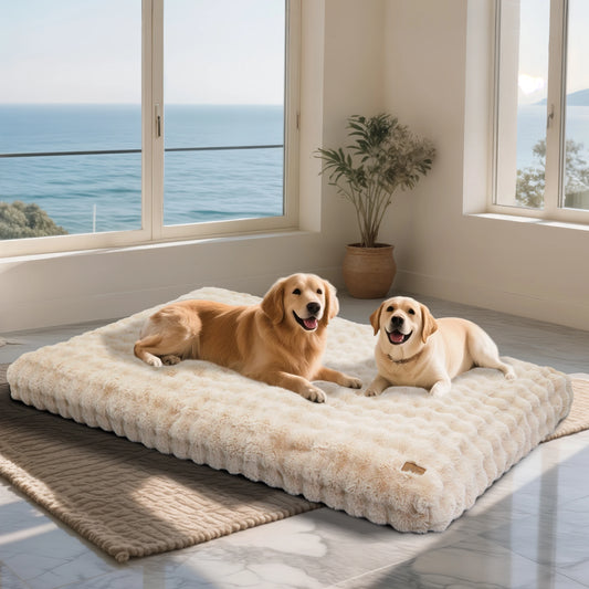 BINGOPAW Plush Calming Dog Bed With Removable Cover Foam Base