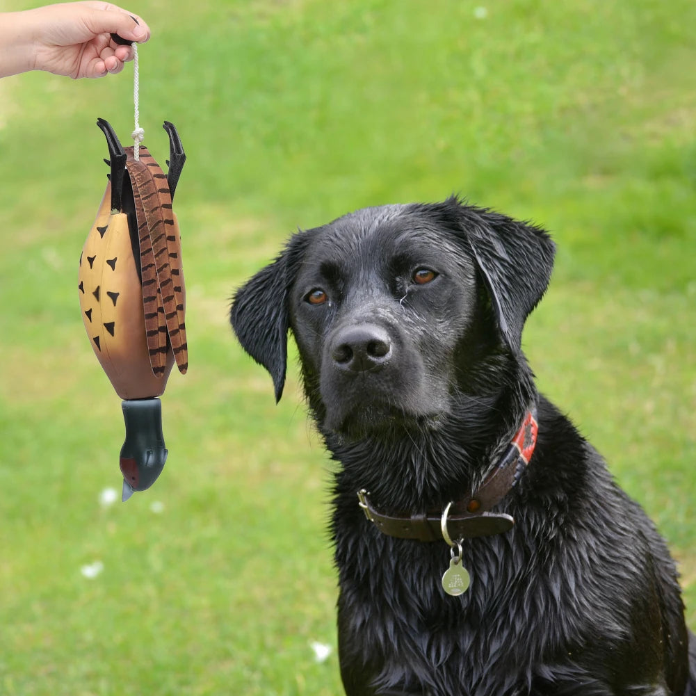 HiMIS Pheasant Dog Training Dummy Bumper Toy for Retrievers