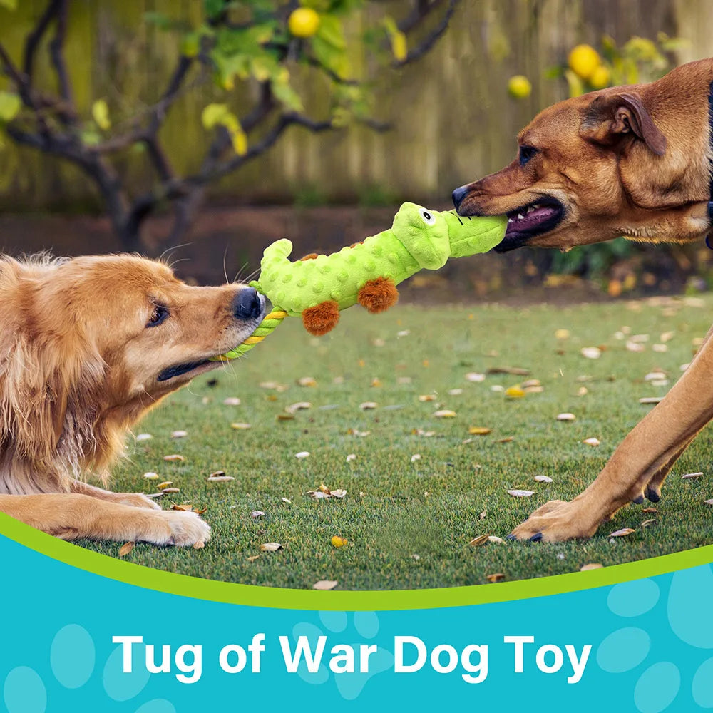 Durable Dog Squeaky Plush Toy Pack Tug of War Toys