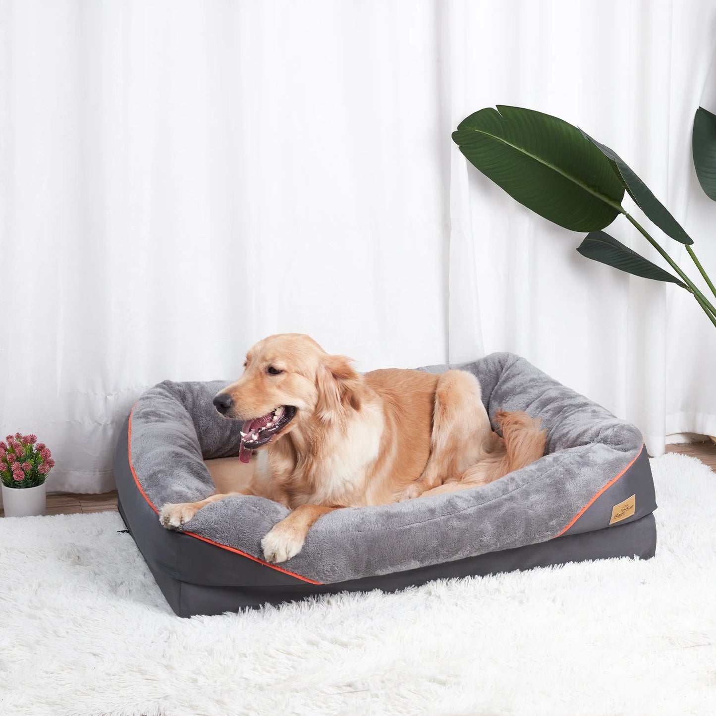 BINGOPAW Anti Allergy Dog Bed With Removable Washable Fleece Cover