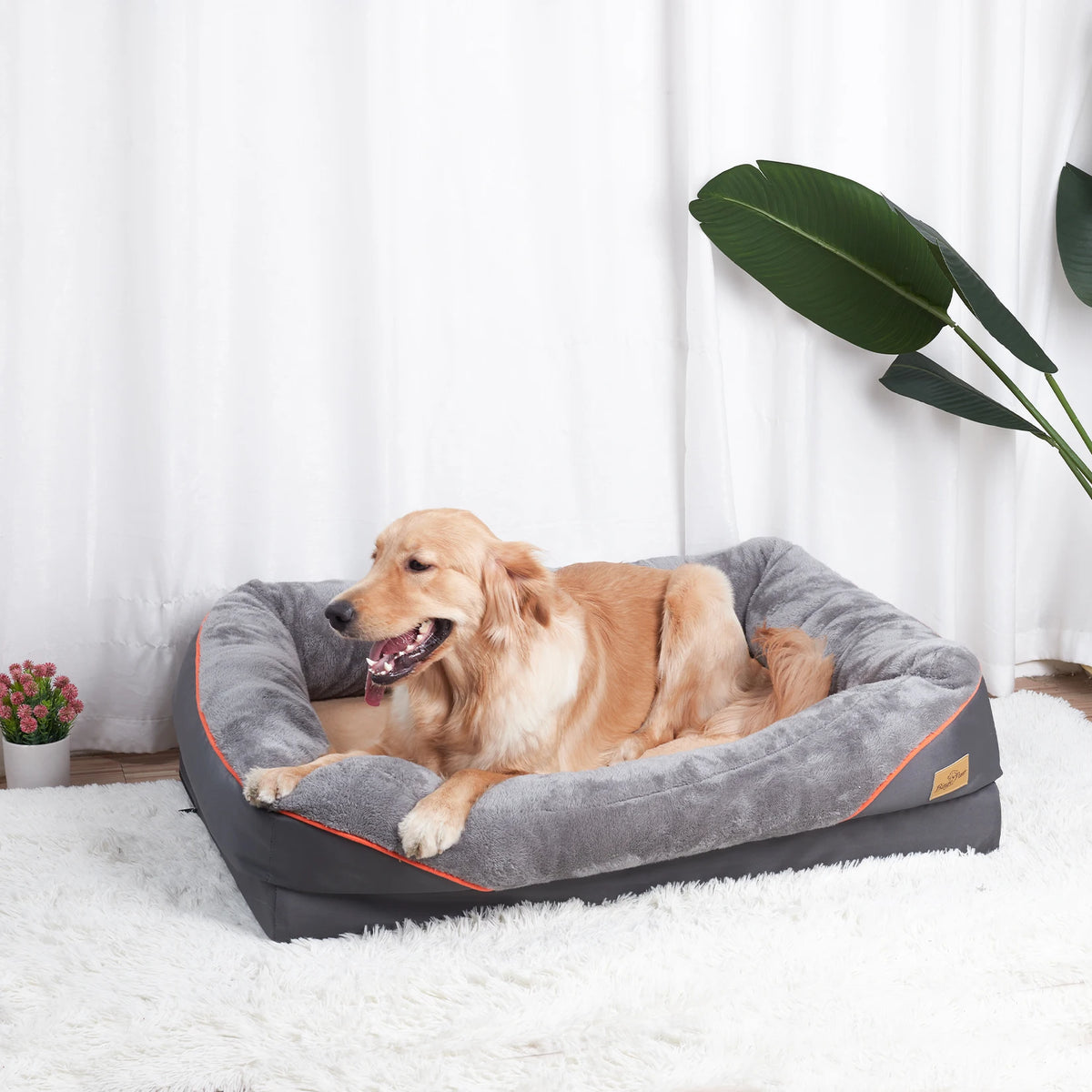 BINGOPAW Waterproof Washable Fleece Dog Bed With Soft Foam Comfort