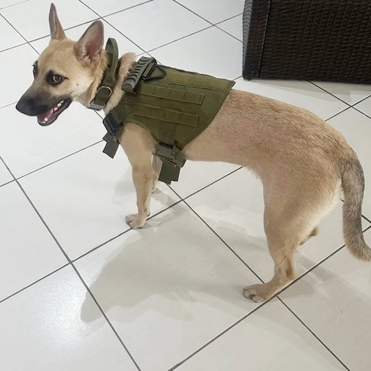 PETRAVEL Tactical Dog Harness and Nylon Collar Set for Walking