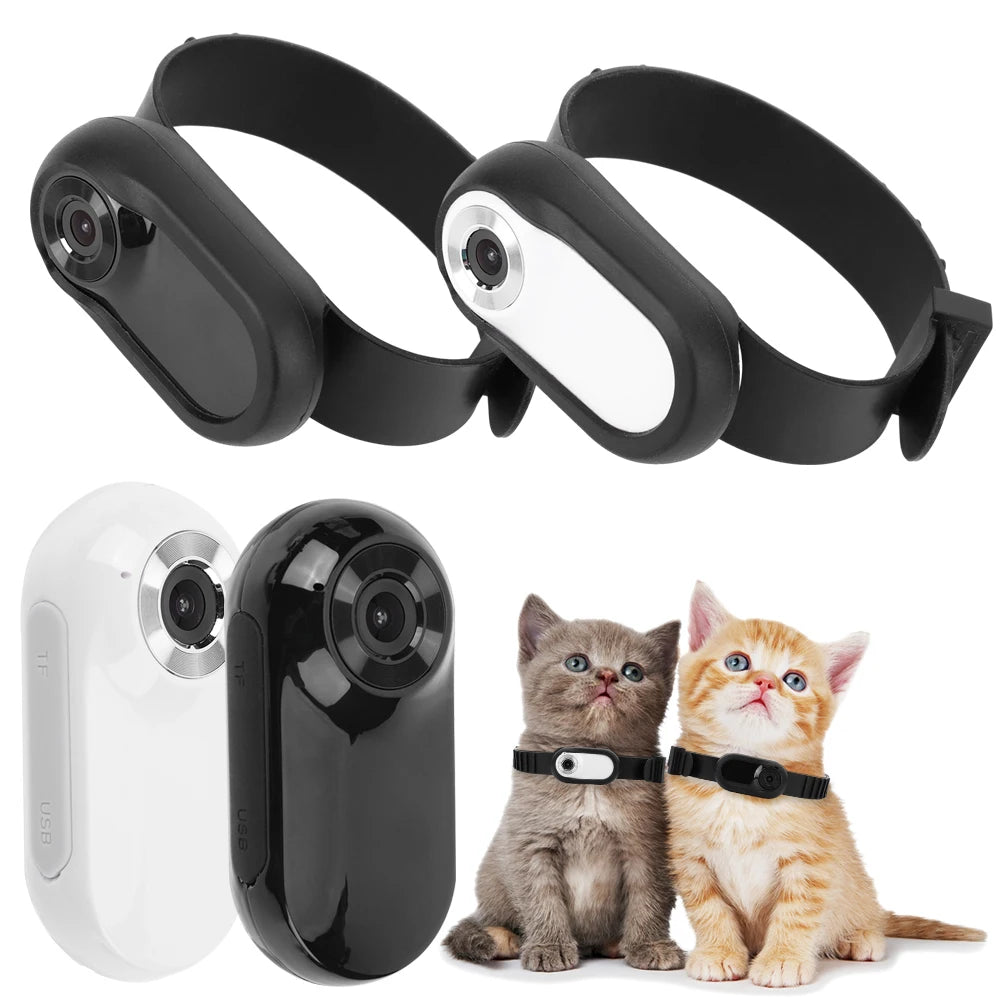 High Definition 1080P Wireless Collar Camera For Pets