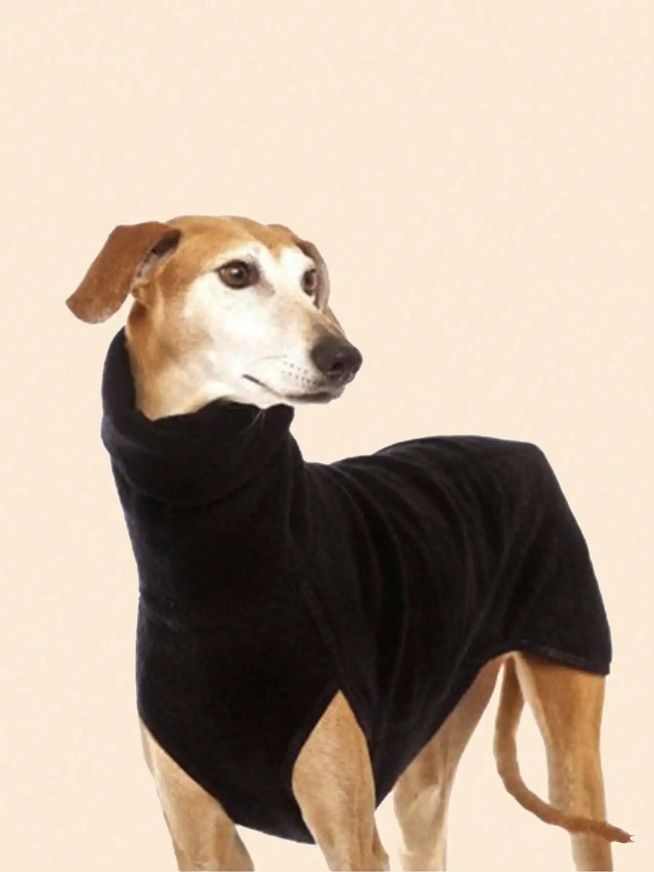 Greyhound Winter Coat and Pajama Onesie for Dogs and Pets
