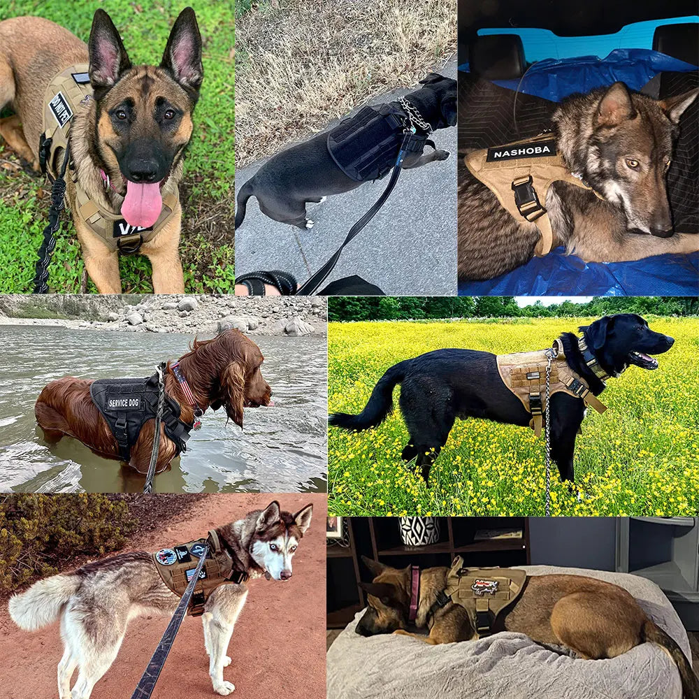 PETRAVELCN Large Dog Harness Vest And Leash Set For Training