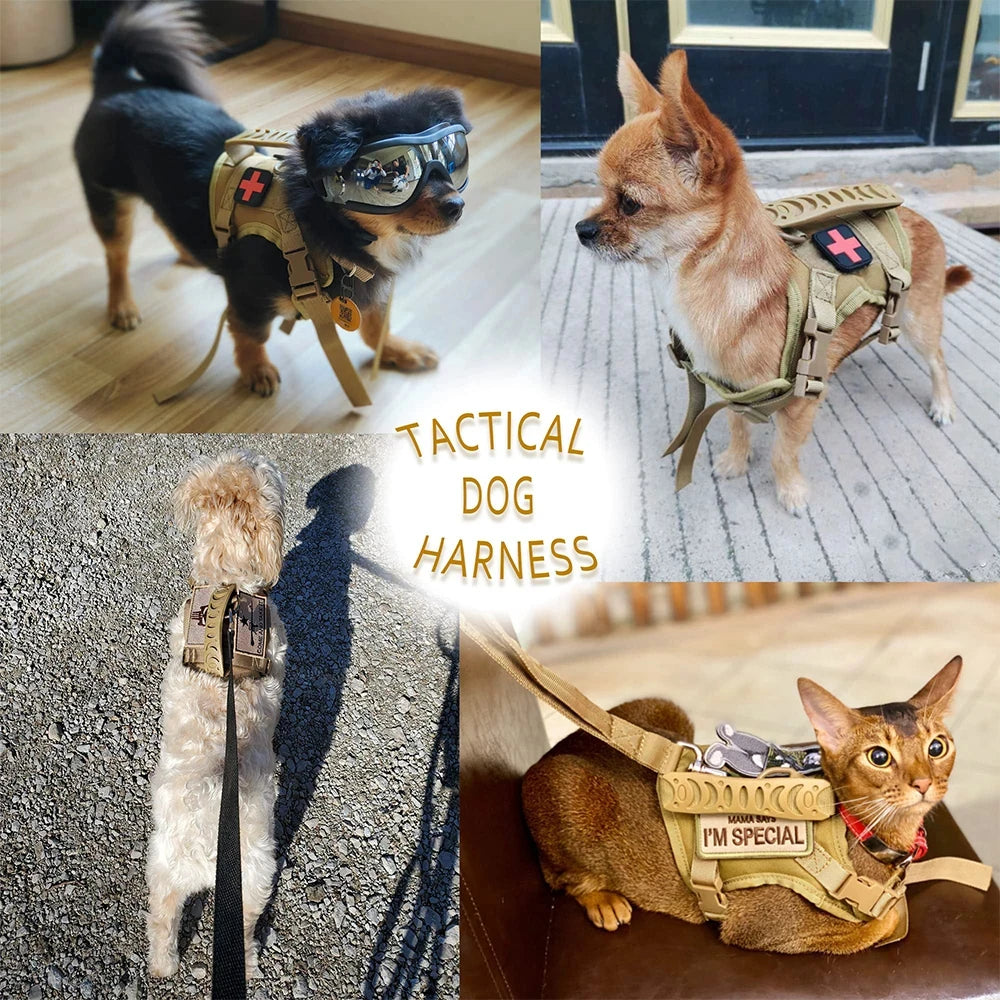 PETRAVEL Tactical Puppy Harness And Leash Set For Training