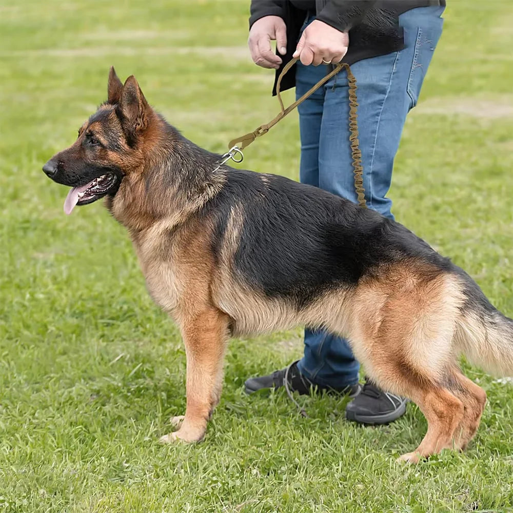 PETRAVEL Military Dog Leash with Dual Handles and Quick Release