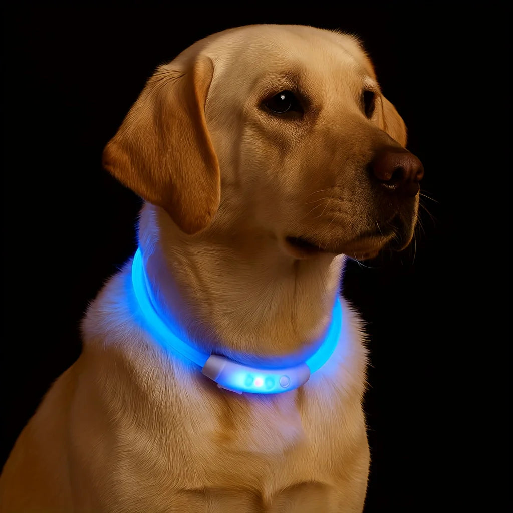 NONECN LED Dog Collar USB Rechargeable Night Safety Glowing Collar