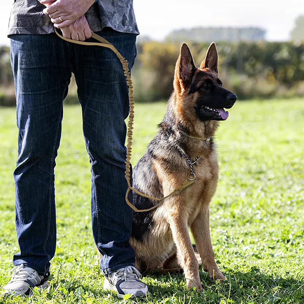 PETRAVEL Military Dog Leash with Dual Handles and Quick Release