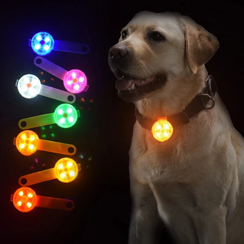 NONECN LED Pet Collar Light For Dogs And Cats
