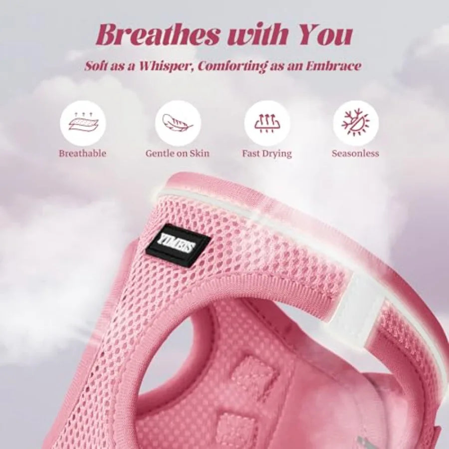 Reflective No Pull Dog Harness and Leash Set with Mesh