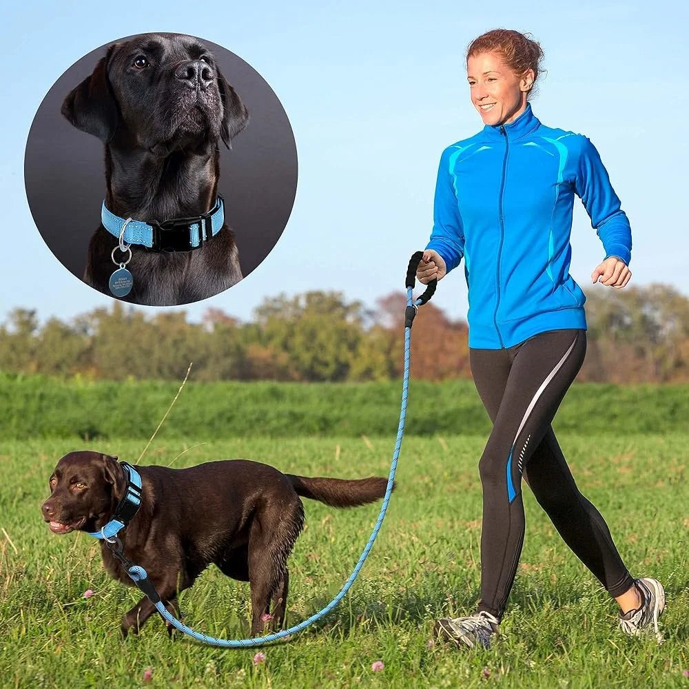 Ladoogo Reflective Padded Dog Collar Neoprene Nylon Durable